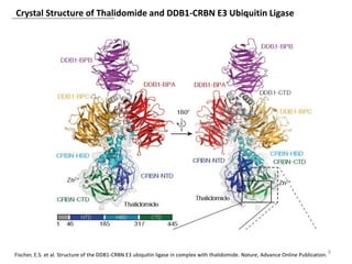 Crystal Structure of Thalidomide and DDB1-CRBN E3 Ubiquitin Ligase
9Fischer, E.S. et al. Structure of the DDB1-CRBN E3 ubiquitin ligase in complex with thalidomide. Nature, Advance Online Publication.
 