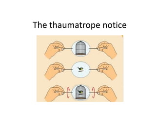 The thaumatrope notice
 