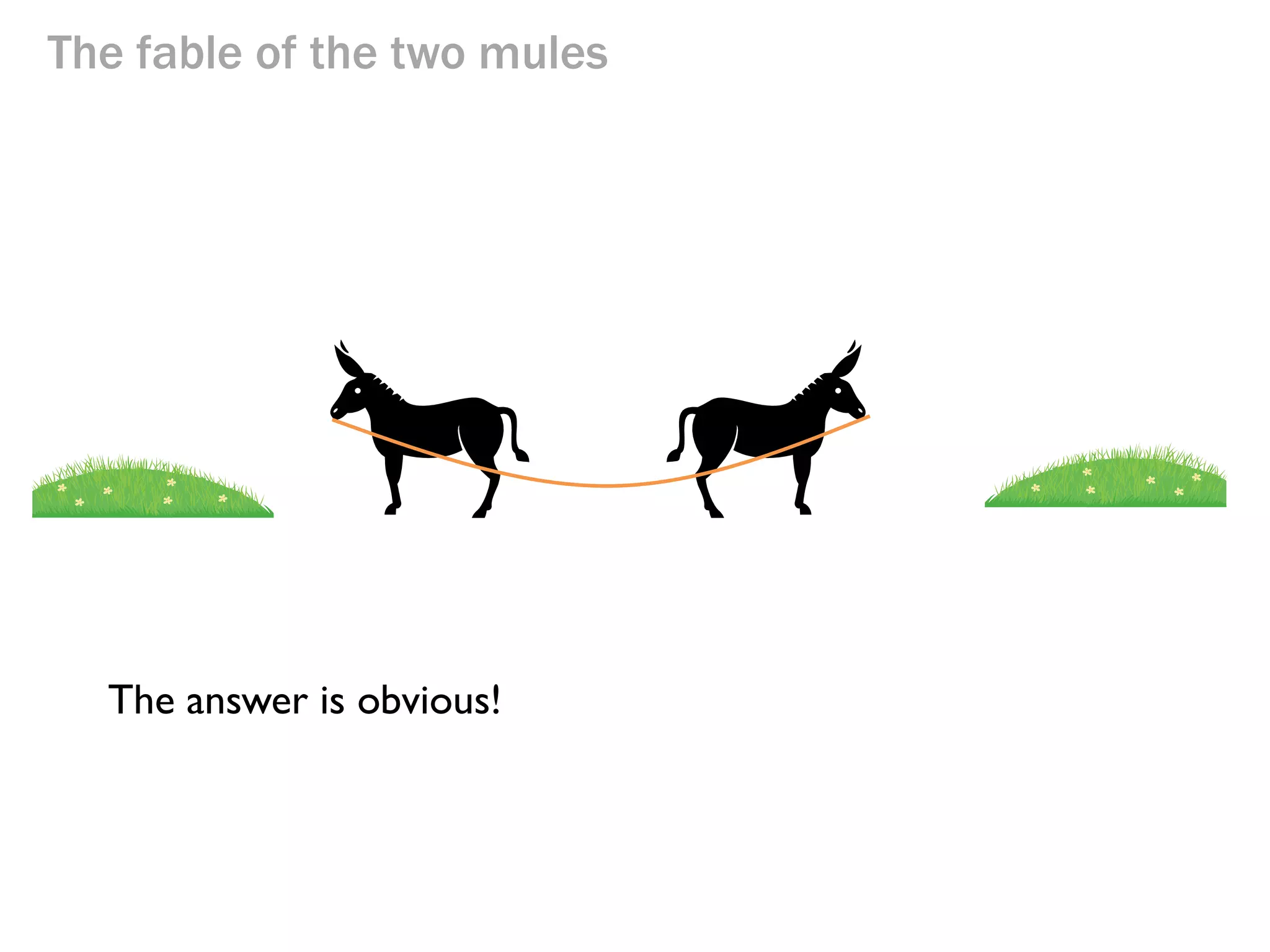 The fable of the two mules

What were they doing wrong? What is the solution?

 