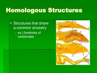 The Theory of Evolution | PPTX