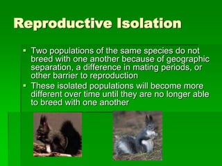 Evolution Isolation The Theory of Evolution | PPTX