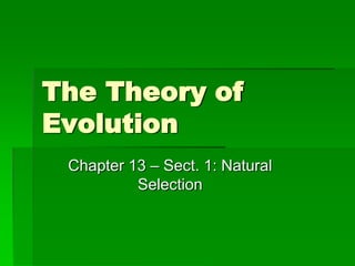 The Theory of
Evolution
 Chapter 13 – Sect. 1: Natural
          Selection
 
