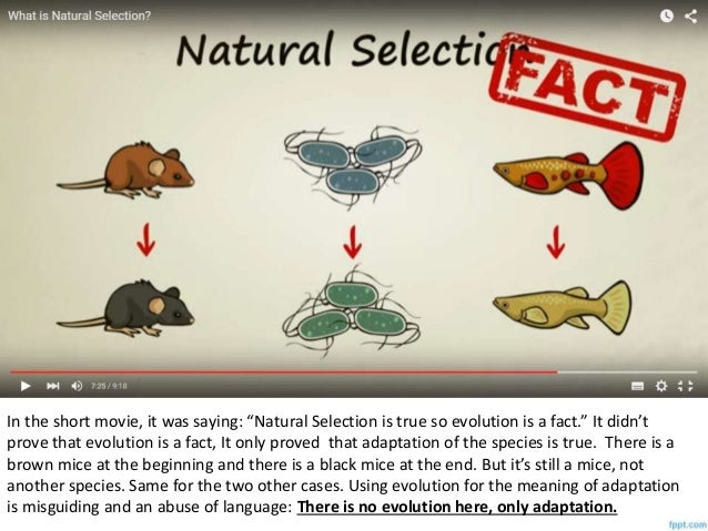 What Are Two Limits To Evolution By Natural Selection What Are Two Limits To Evolution By Natural Selection