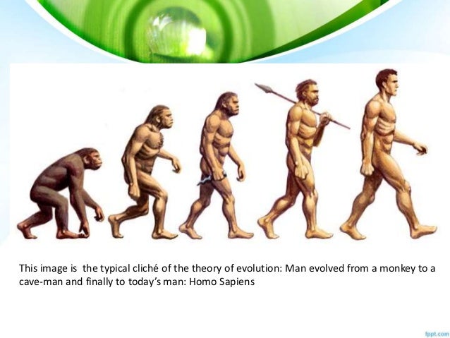 Explain The Theory Of Evolution By Natural Selection By Darwin Explain The Theory Of Evolution By Natural Selection By Darwin