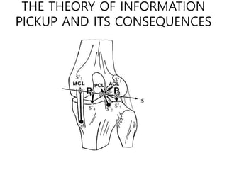 THE THEORY OF INFORMATION
PICKUP AND ITS CONSEQUENCES
 