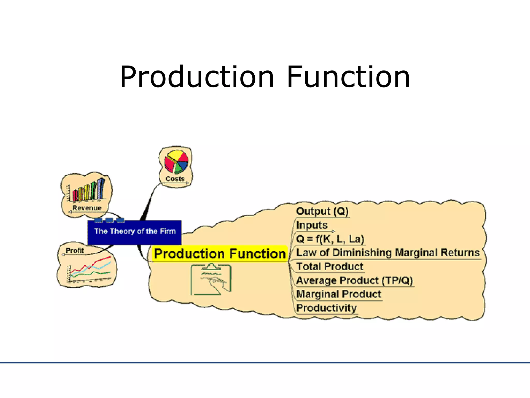 Production Function 