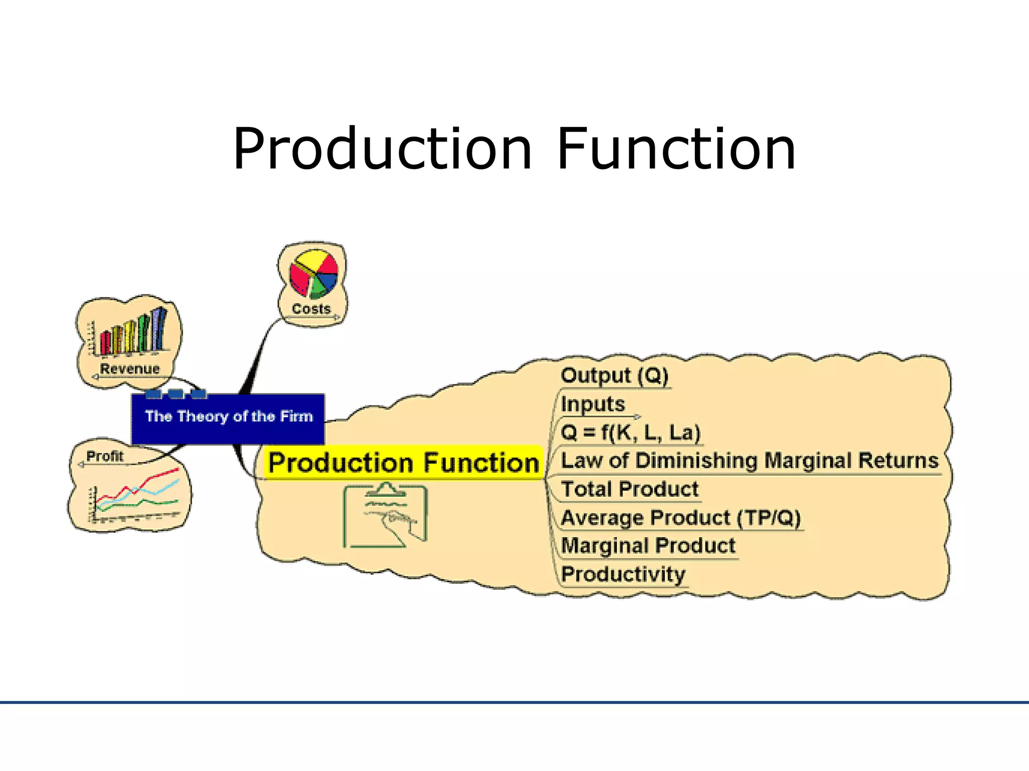 Production Function 