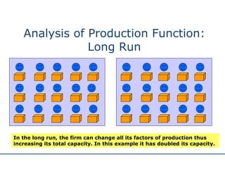 Long Run Examples The Theory Of The Firm | PPT