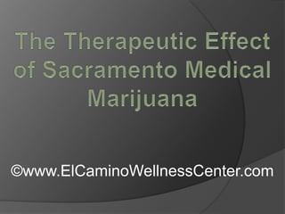 The Therapeutic Effect of Sacramento Medical Marijuana ©www.ElCaminoWellnessCenter.com 