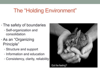 The “Holding Environment”

• The safety of boundaries
  • Self-organization and
    consolidation
• As an “Organizing
 Principle”
 • Structure and support
 • Information and education
 • Consistency, clarity, reliability
 
