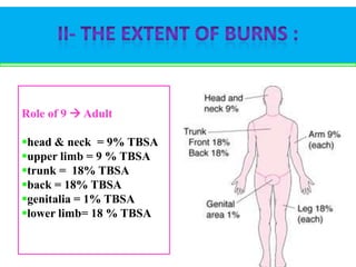 Role of 9  Adult

head & neck = 9% TBSA
upper limb = 9 % TBSA
trunk = 18% TBSA
back = 18% TBSA
genitalia = 1% TBSA
lower limb= 18 % TBSA

16

 