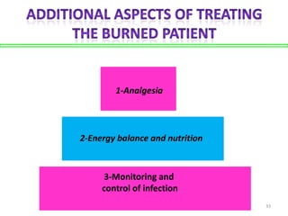 1-Analgesia

2-Energy balance and nutrition

3-Monitoring and
control of infection
33

 