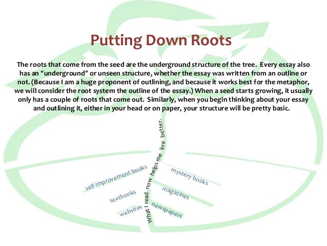 What is tree planting image