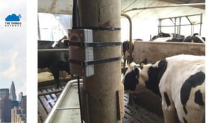 Idea arose
WHAT IF...
 