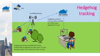 STARTS TO GET SERIOUS
 