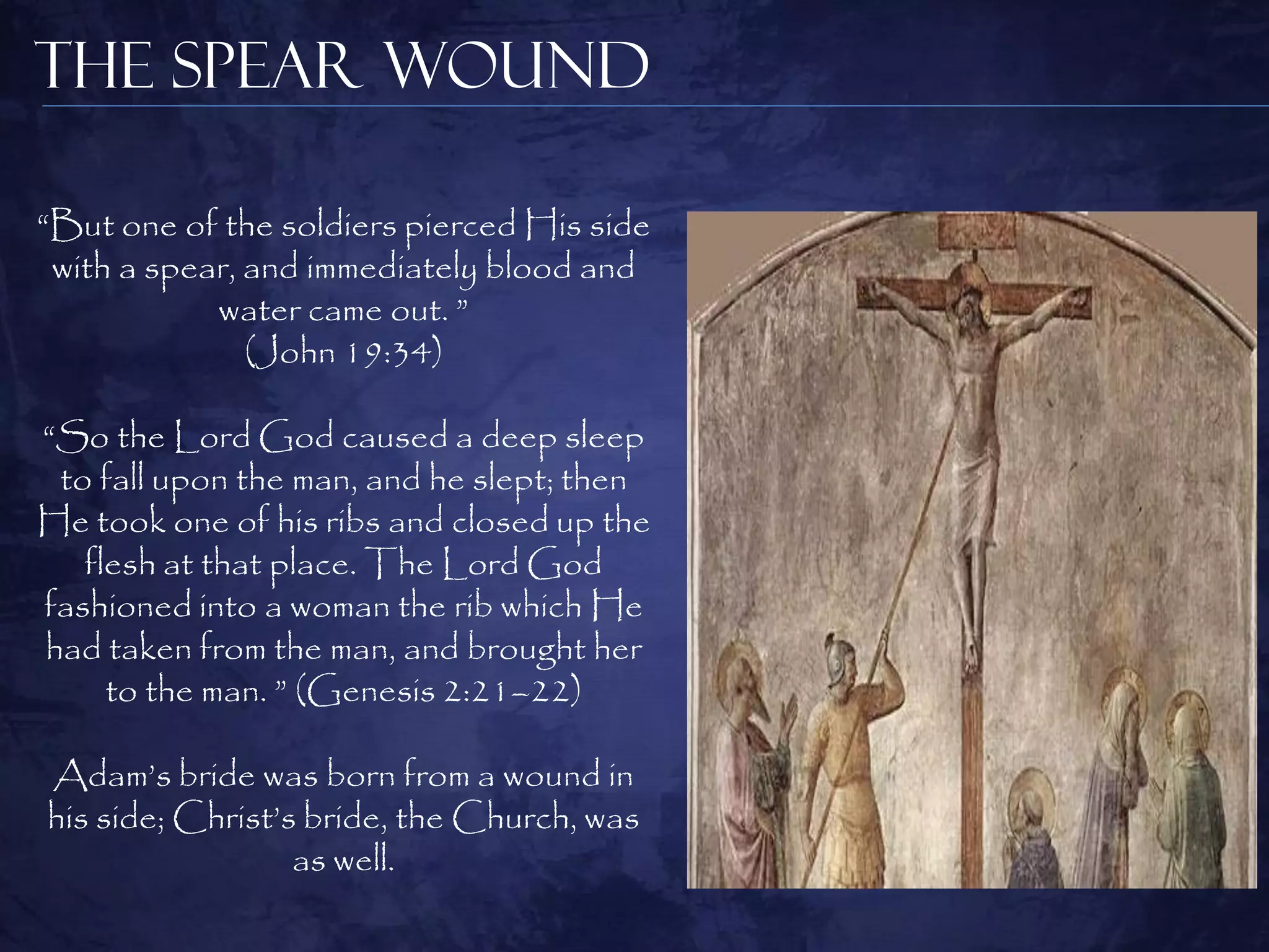 The Spear Wound

“But one of the soldiers pierced His side
 with a spear, and immediately blood and
            water came out. ”
               (John 19:34)

“So the Lord God caused a deep sleep
 to fall upon the man, and he slept; then
He took one of his ribs and closed up the
   flesh at that place. The Lord God
fashioned into a woman the rib which He
had taken from the man, and brought her
     to the man. ” (Genesis 2:21–22)

Adam‟s bride was born from a wound in
his side; Christ‟s bride, the Church, was
                  as well.
 