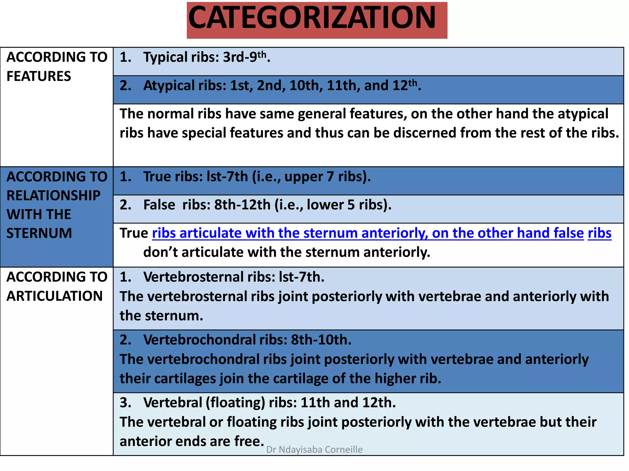 The Thoracic cage Anatomy.pptx