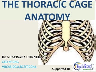 Dr. NDAYISABA CORNEILLE
CEO of CHG
MBChB,DCM,BCSIT,CCNA
Supported BY
THE THORACIC CAGE
ANATOMY
 