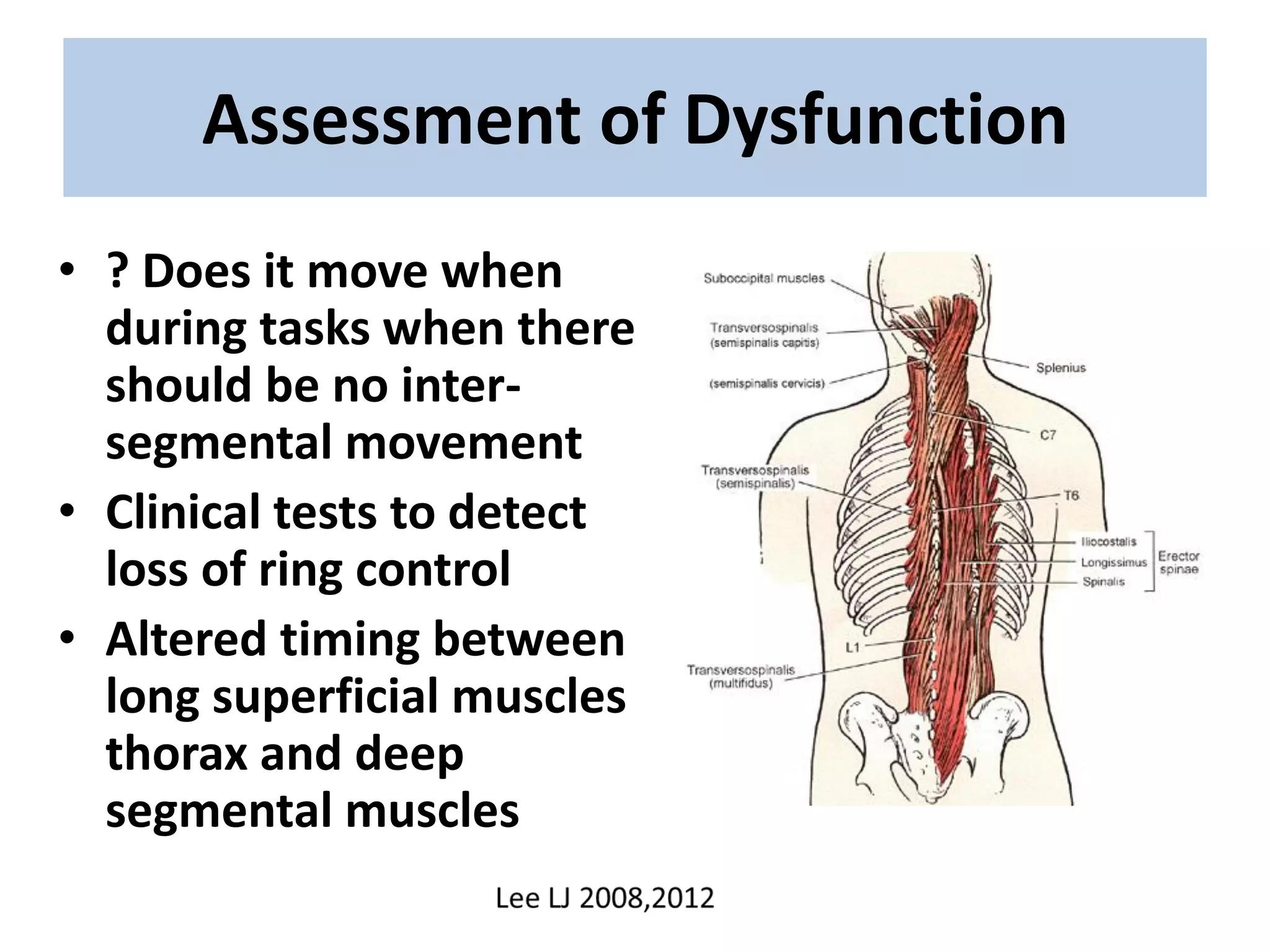 Thoracic Rib Dysfunction The thoracic spine | PDF