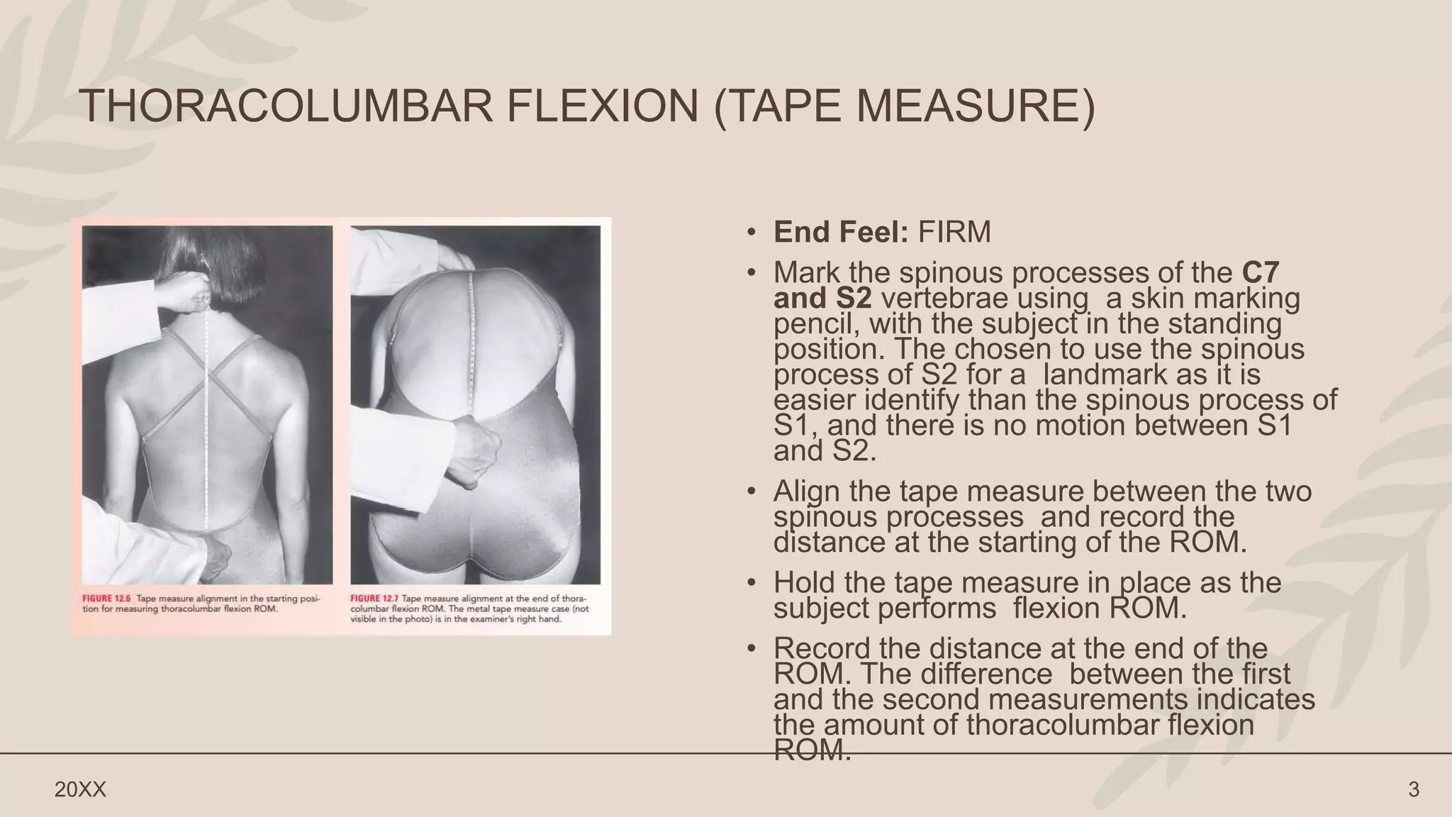 The Thoracolumbar Spine.pptx