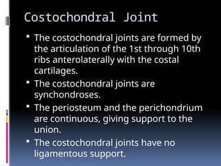 Perichondrium Rib Comprehensive Anatomy and Function of the Thorax and Chest Wall | PPTX