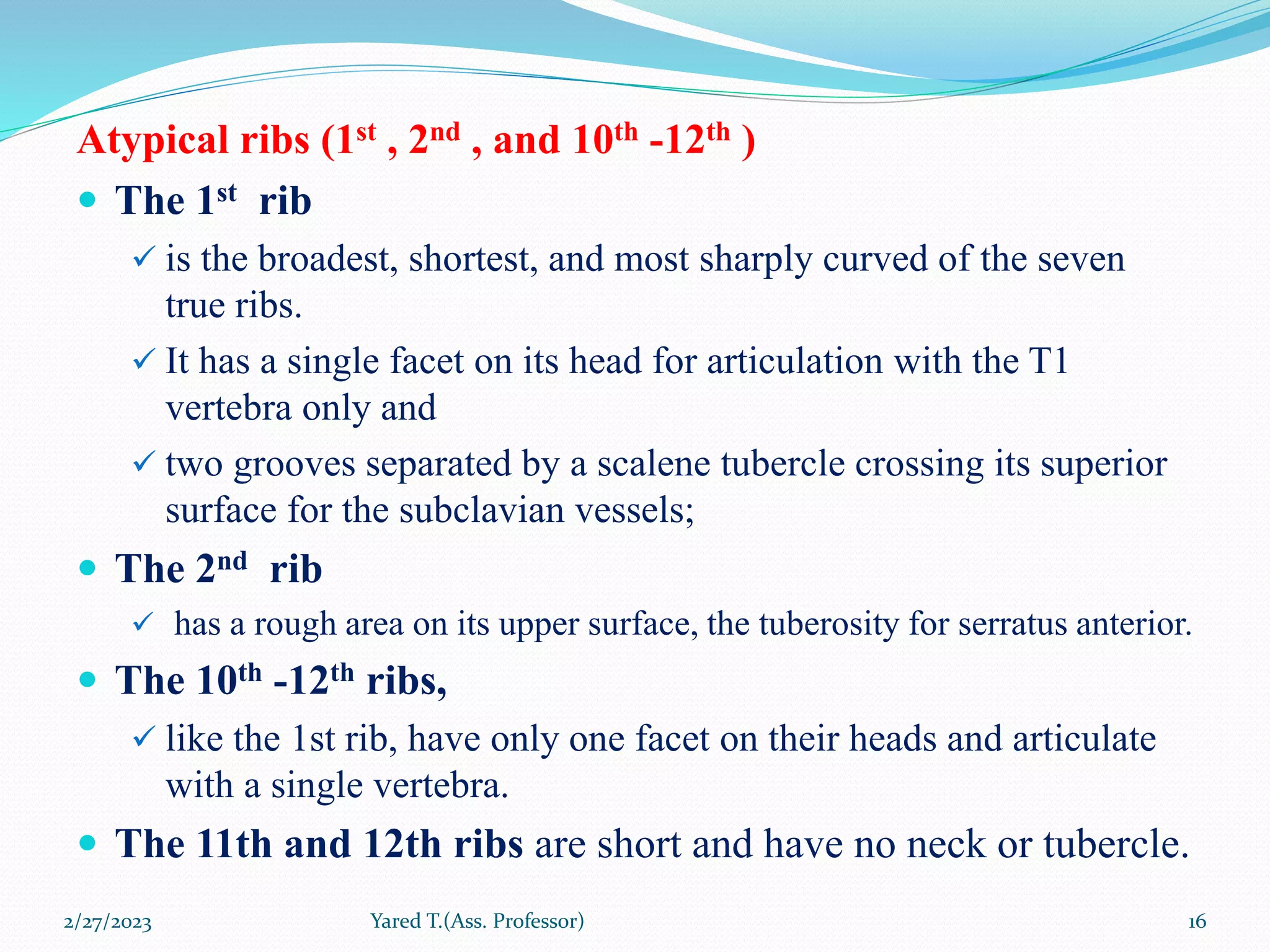 The thorax PG CM.pptx
