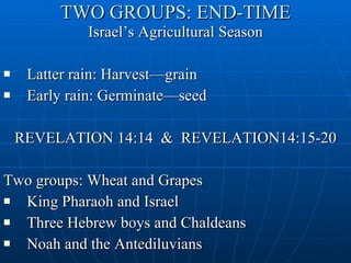 TWO GROUPS: END-TIME Israel’s Agricultural Season Latter rain: Harvest—grain  Early rain: Germinate—seed REVELATION 14:14  &  REVELATION14:15-20 Two groups: Wheat and Grapes King Pharaoh and Israel  Three Hebrew boys and Chaldeans Noah and the Antediluvians e 