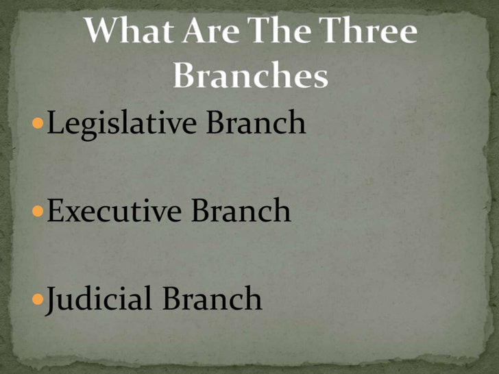 branch of judicial parts Three Government Power Of Branches The Point branch of judicial parts Three Government Power Of Branches The Point