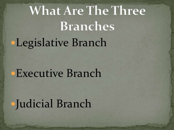 The Three Branches Of Government Power Point