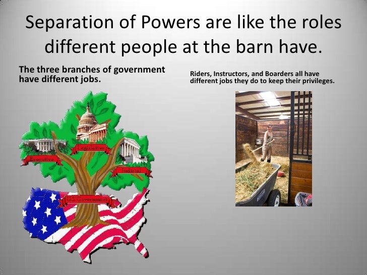 The Three Branches Of Government Under The Constitution