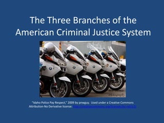 The Three Branches of the
American Criminal Justice System




     “Idaho Police Pay Respect,” 2009 by pnwguy. Used under a Creative Commons
   Attribution-No Derivative license: http://creativecommons.org/licenses/by-nd/3.0/
 