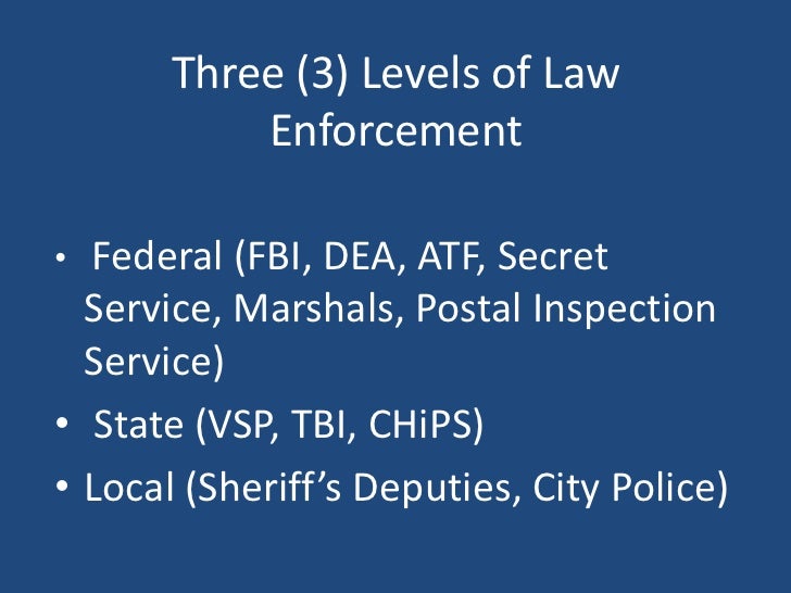 The Three Branches of the American Criminal Justice System