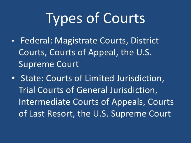 The Three Branches of the American Criminal Justice System