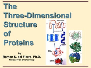 4
4-1
© 2003 Thomson Learning, Inc.
All rights reserved
The
Three-Dimensional
Structure
of
Proteins
by
Ramon S. del Fierro, Ph.D.
Professor of Biochemistry
 