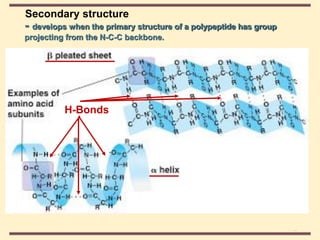 THE THREE DIMENSIONAL STRUCTURE OF PROTEINS.pdf