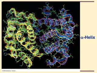 THE THREE DIMENSIONAL STRUCTURE OF PROTEINS.pdf