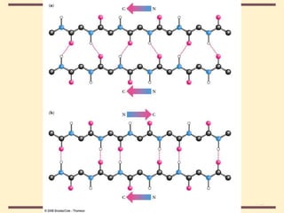 THE THREE DIMENSIONAL STRUCTURE OF PROTEINS.pdf