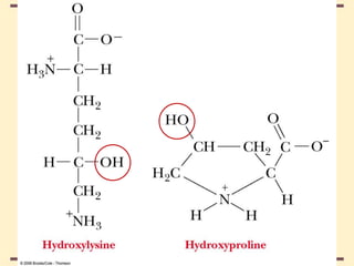 THE THREE DIMENSIONAL STRUCTURE OF PROTEINS.pdf