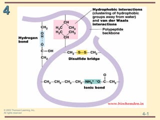 THE THREE DIMENSIONAL STRUCTURE OF PROTEINS.pdf