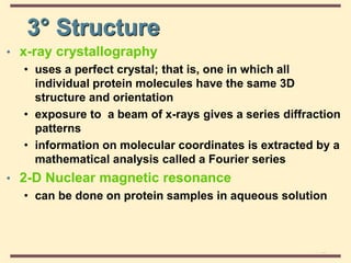 THE THREE DIMENSIONAL STRUCTURE OF PROTEINS.pdf