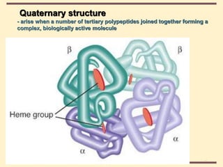 THE THREE DIMENSIONAL STRUCTURE OF PROTEINS.pdf