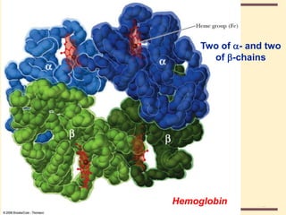 THE THREE DIMENSIONAL STRUCTURE OF PROTEINS.pdf