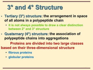THE THREE DIMENSIONAL STRUCTURE OF PROTEINS.pdf