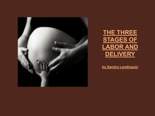 THE THREE STAGES OF LABOR AND DELIVERYby Sandra Landinguin 