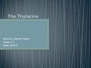 The Thylacine Done by: Danish Hakim Class: 4.7 Date: 20/7/11 