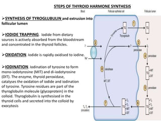 IODIDE TRAPPING. Iodide from dietary
sources is actively absorbed from the bloodstream
and concentrated in the thyroid follicles.
SYNTHESIS OF TYROGLUBULIN and extrusion into
follicular lumen
OXIDATION. Iodide is rapidly oxidised to iodine.
STEPS OF THYROID HARMONE SYNTHESIS
IODINATION. Iodination of tyrosine to form
mono-iodotyrosine (MIT) and di-iodotyrosine
(DIT). The enzyme, thyroid peroxidase,
catalyses the oxidation of iodide and iodination
of tyrosine. Tyrosine residues are part of the
thyroglobulin molecule (glycoprotein) in the
colloid. Thyroglobulin is synthesised in the
thyroid cells and secreted into the colloid by
exocytosis
 