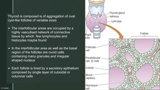 The THYROID GLAND.pptx