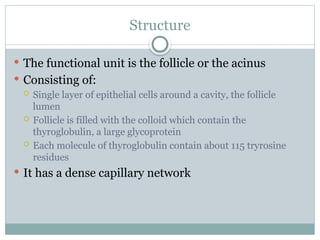 Acinus Functional Unit THE THYROID HORMONES in pharmacology 2.pptx