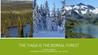 THE TIAGA IS THE BOREAL FOREST
A COLD HABITAT
COPYRIGHT BY KELLA RANDOLPH, B.S., M.ED.
http://www.birdcanada.com/wp-content/uploads/2013/03/Boreal-Forest.-Photo-by-
Olga-Oslina.-Flickr-CC-image..jpg
https://upload.wikimedia.org/wikipedia/commons/9/93/Taiga_Landscape_in_Can
ada.jpg
https://cdn.pixabay.com/photo/2017/03/23/15/41/winter-2168642_960_720.jpg
 