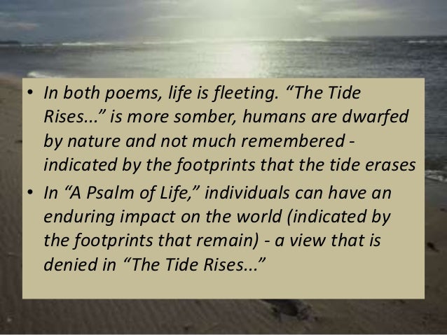 the tide rises poem summary The poem requires a bit of close analysis to tease out this other until – having presumably waded some way into the water – the tide rises,. the tide rises poem summary The poem requires a bit of close analysis to tease out this other until – having presumably waded some way into the water – the tide rises,.